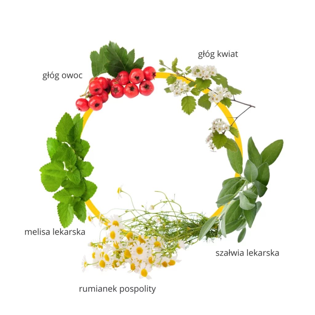 Sztuczna menopauza 2