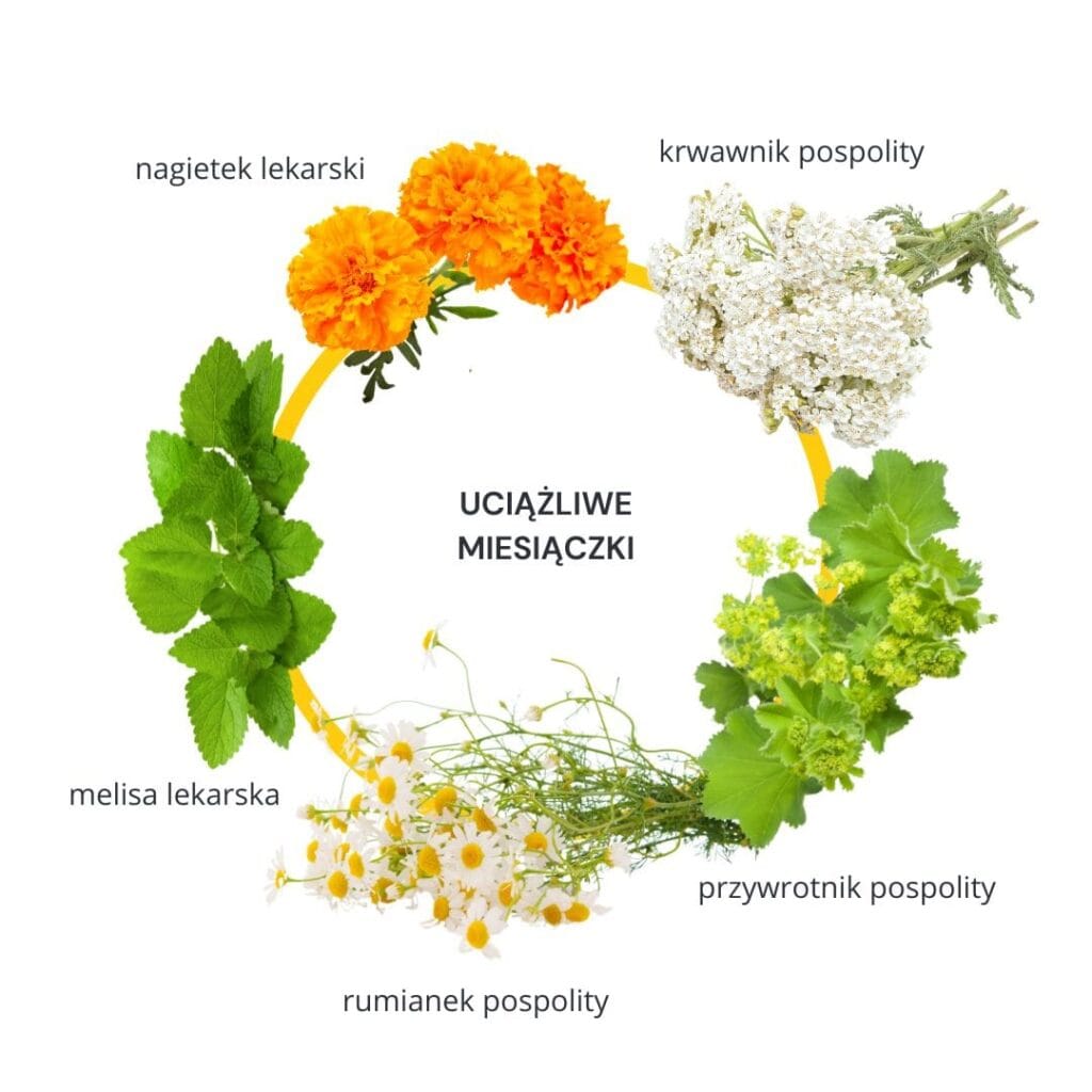 Zestaw uciazliwe miesiaczki 2